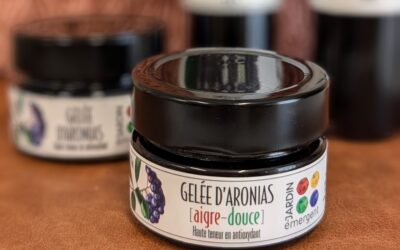Gelée d&rsquo;aronias aigre-douce