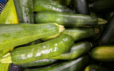 Courgettes fraîches (grosses – prix pour 2)