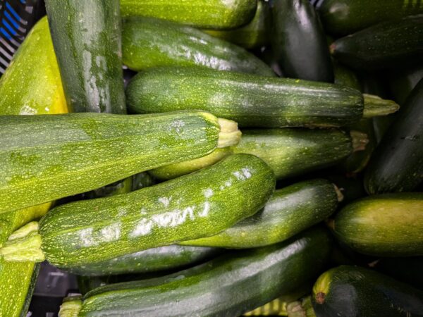 Courgettes fraîches (grosses - prix pour 2)