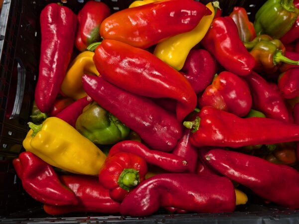 Poivrons colorés frais (2)