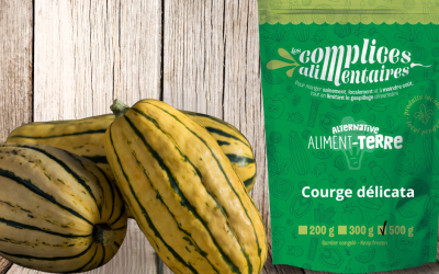 Courge Délicata